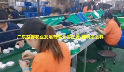 廣東益野農(nóng)業(yè) 領(lǐng)航畜牧漁業(yè)飼料銷售，助推現(xiàn)代農(nóng)牧業(yè)發(fā)展
